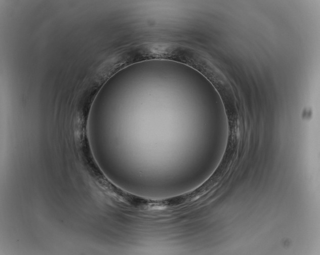 X0000097830651200803141146