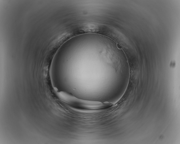X0000097830652200803141146