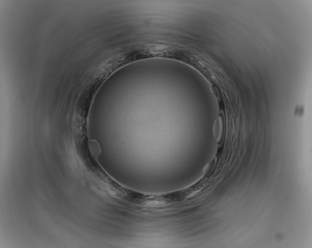 X0000097830653200803141146