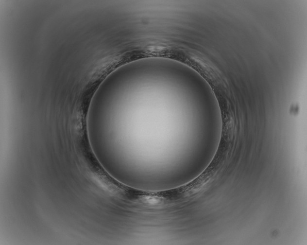 X0000097830654200803141146