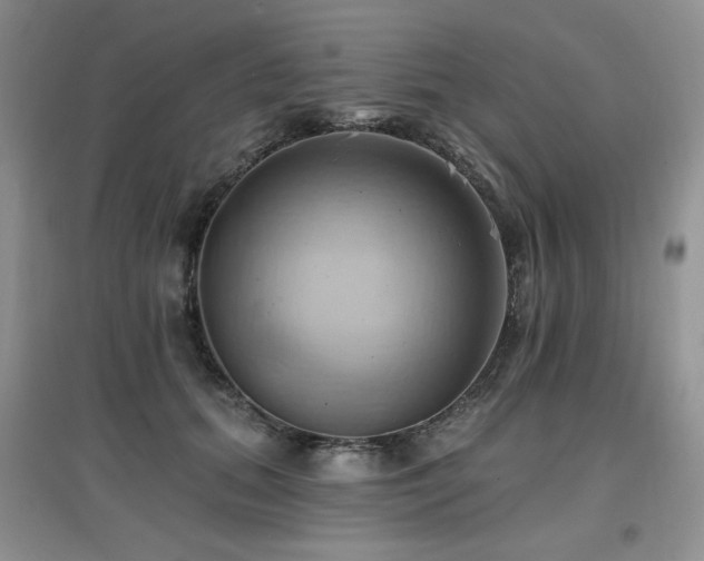 X0000097830655200803141146
