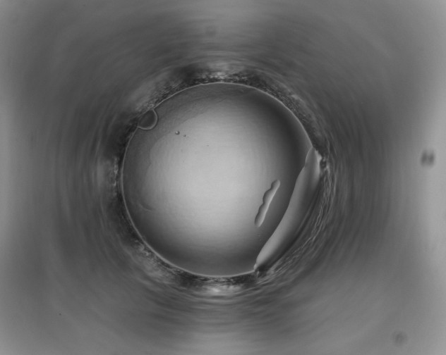 X0000097830657200803141146