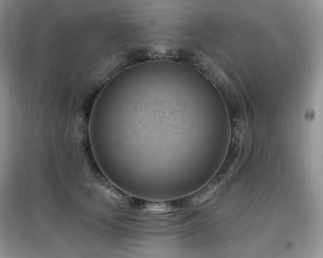 X0000097830659200803141146
