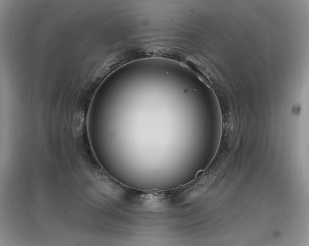 X0000097830660200803141146