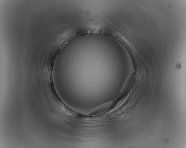 X0000097830661200803141146