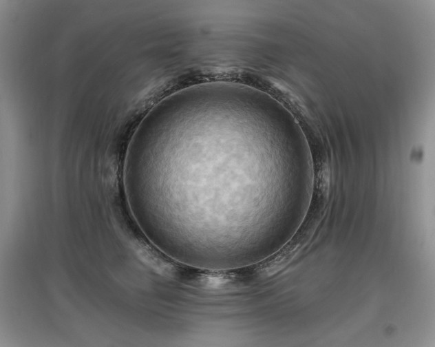 X0000097830662200803141146