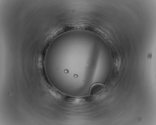 X0000097830663200803141146