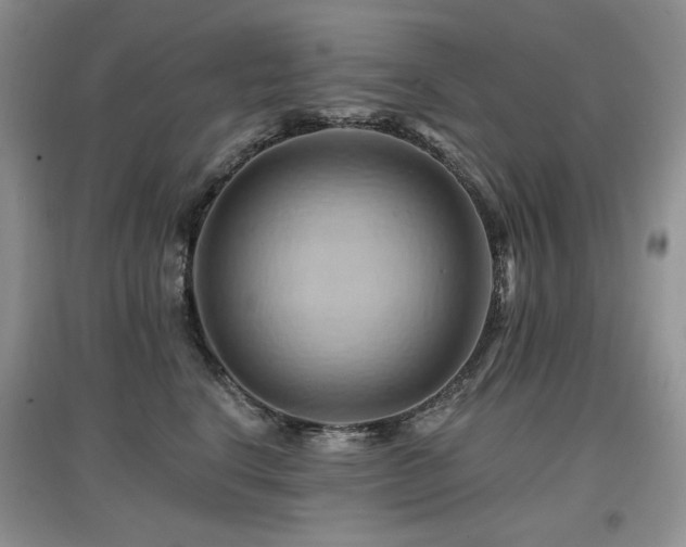 X0000097830664200803141146