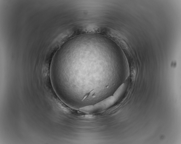 X0000097830665200803141146