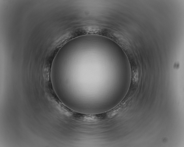 X0000097830666200803141146