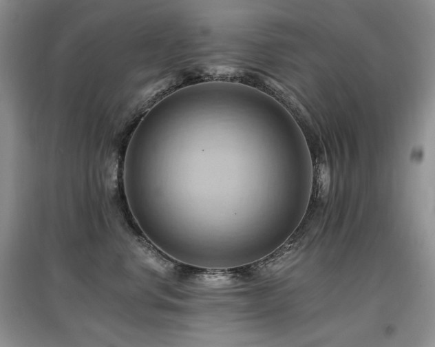 X0000097830668200803141146