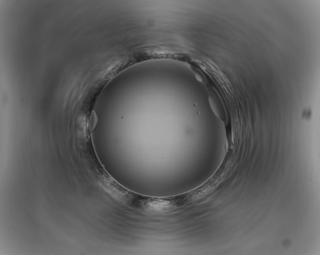 X0000097830669200803141146