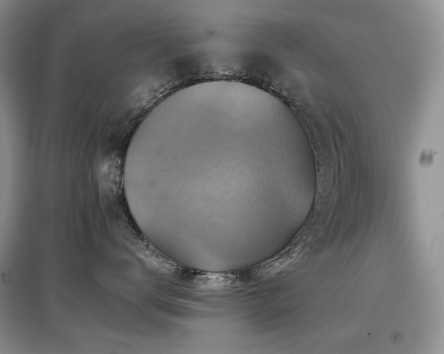 X0000097830672200803141146