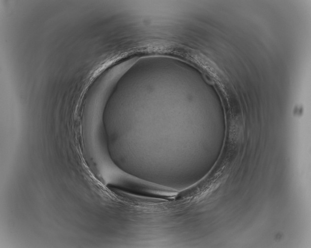 X0000097830673200803141146