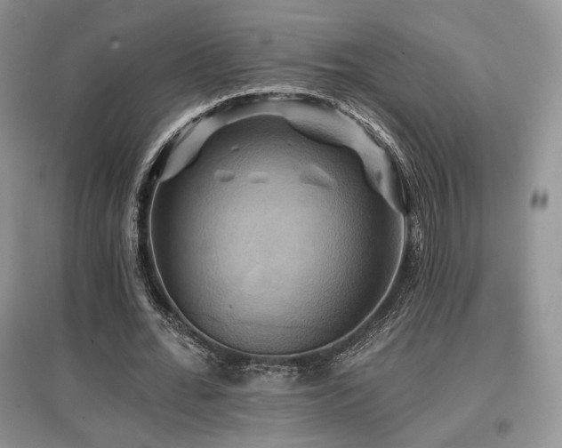 X0000097830676200803141146