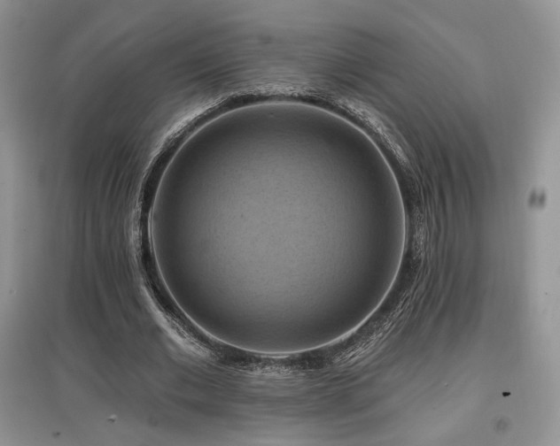 X0000097830677200803141146
