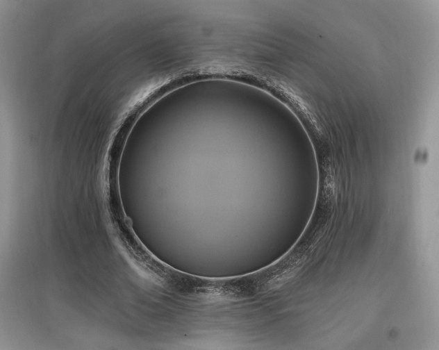 X0000097830678200803141146