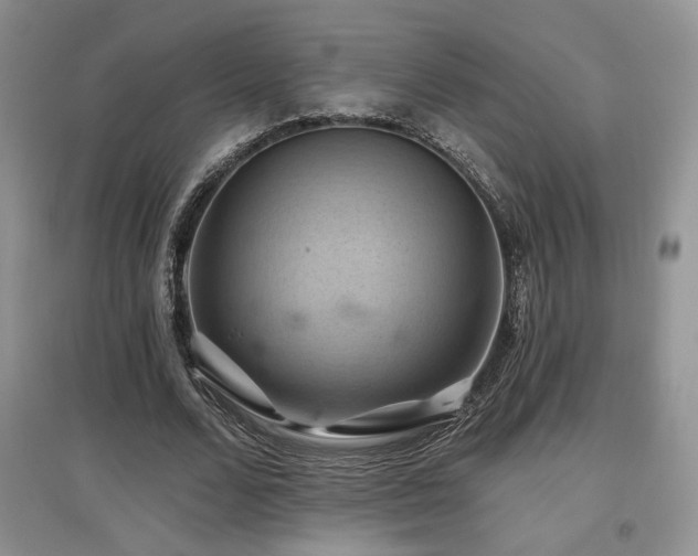X0000097830680200803141146