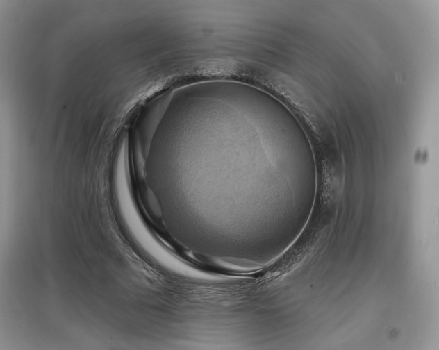 X0000097830681200803141146