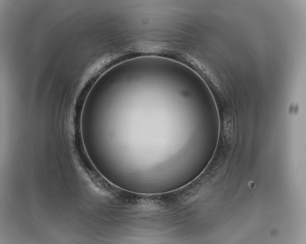 X0000097830682200803141146