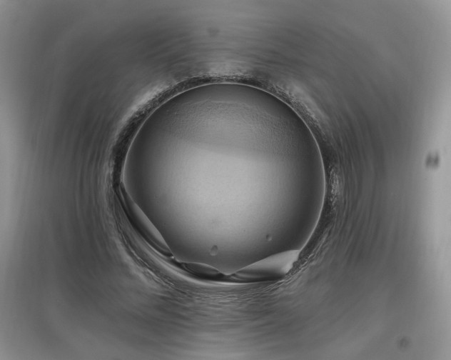 X0000097830684200803141146