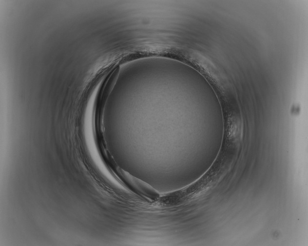 X0000097830685200803141146