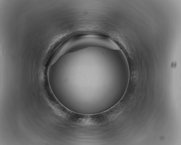 X0000097830688200803141145
