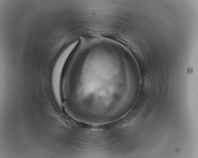 X0000097830691200803141145