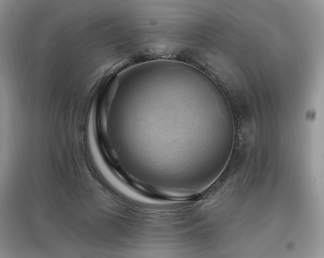 X0000097830693200803141145