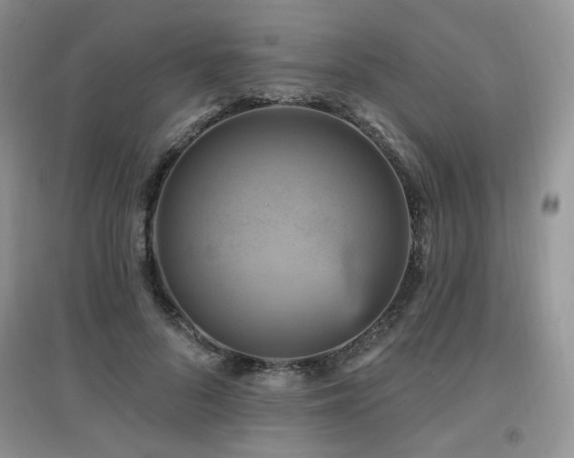 X0000097830696200803141145