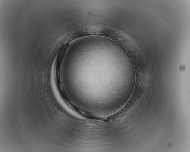 X0000097830697200803141145