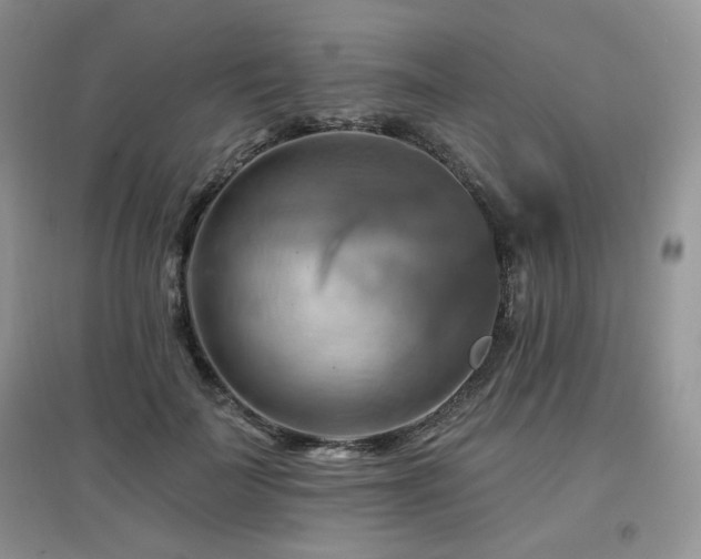 X0000097830699200803141145