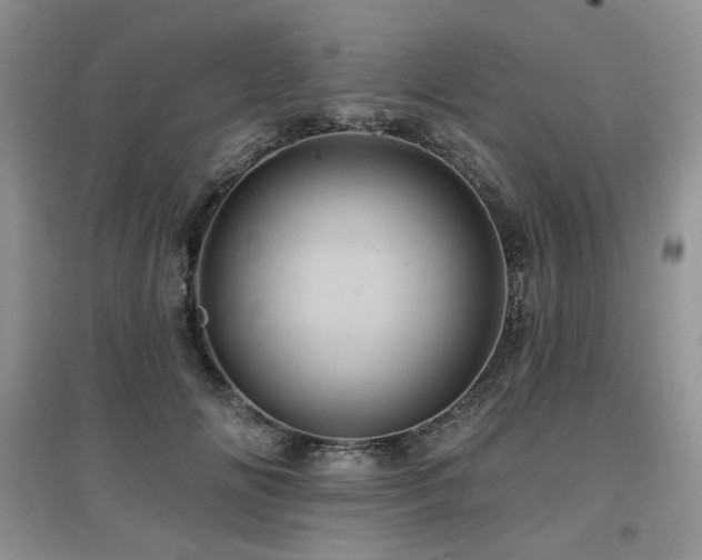 X0000097830702200803141145