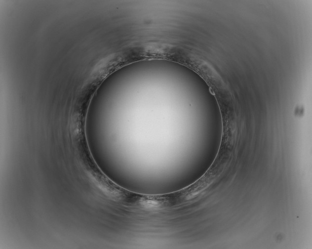 X0000097830706200803141145