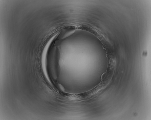 X0000097830707200803141145