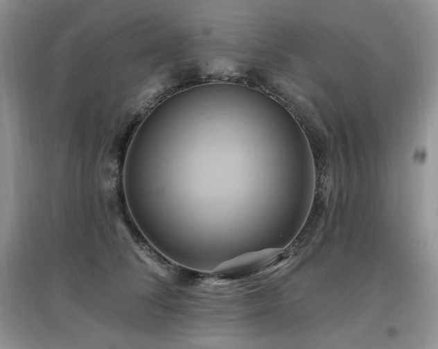 X0000097830708200803141145