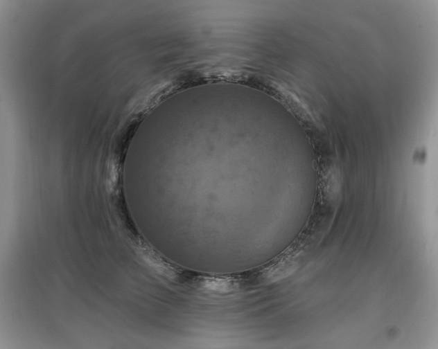 X0000097830709200803141145