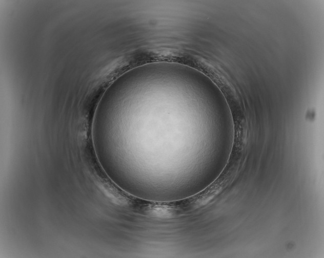 X0000097830710200803141145