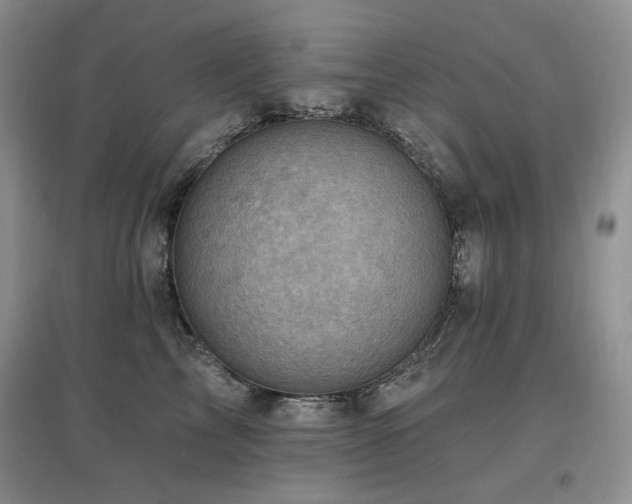X0000097830713200803141145