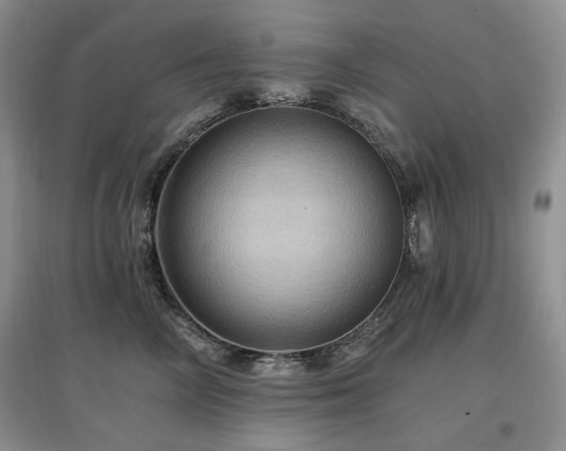 X0000097830714200803141145