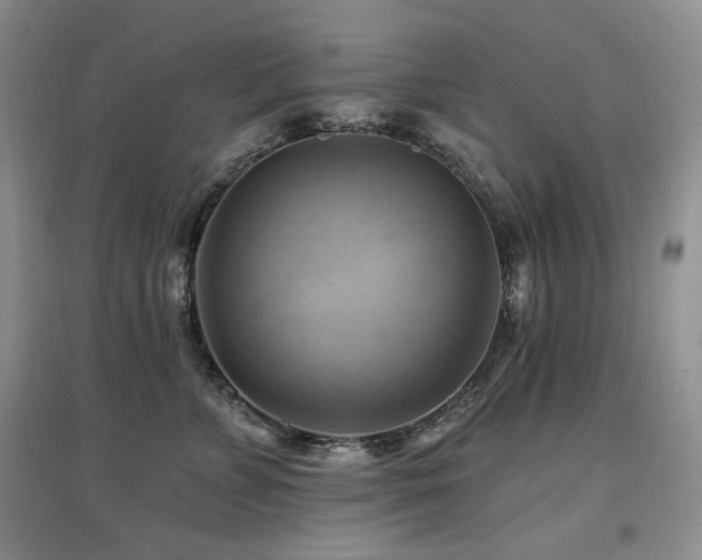 X0000097830715200803141145