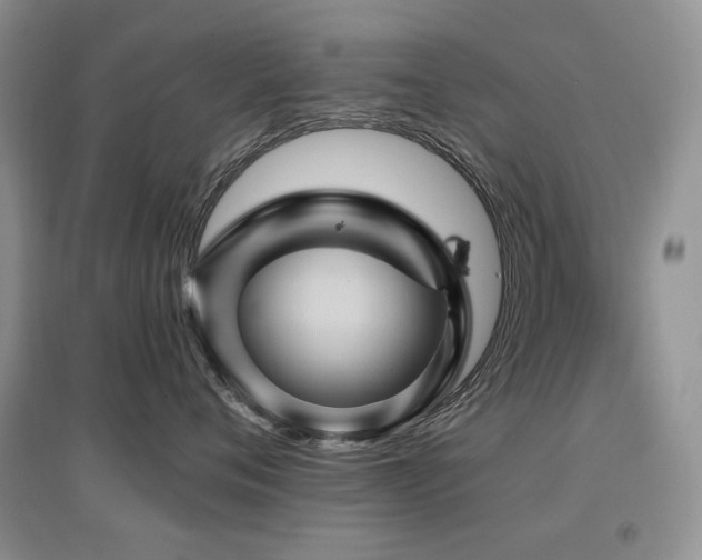X0000097830720200803141145