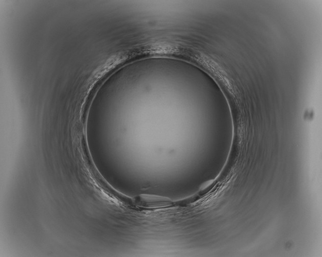 X0000097830721200803141144