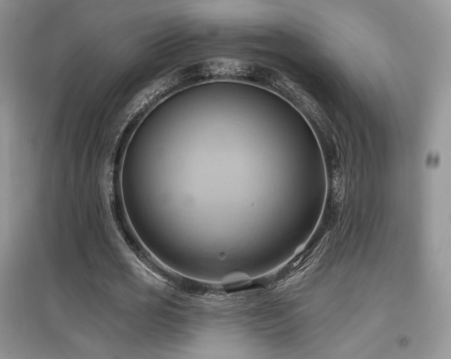 X0000097830725200803141144