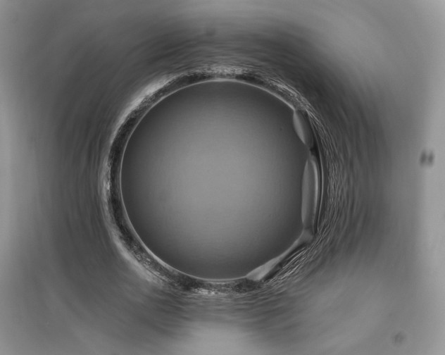 X0000097830726200803141144