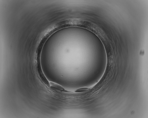 X0000097830727200803141144