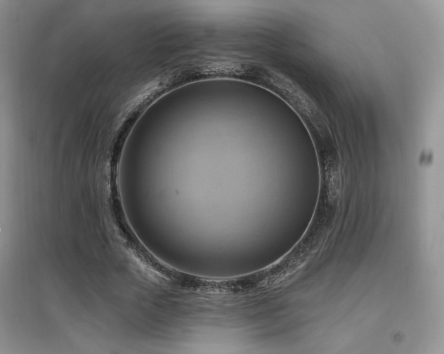 X0000097830729200803141144