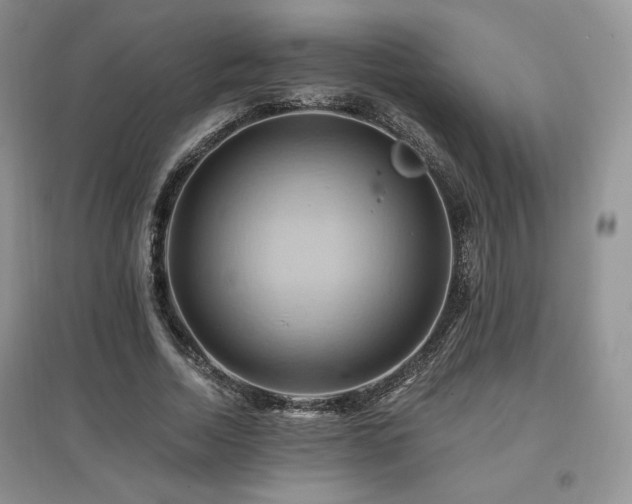 X0000097830730200803141144