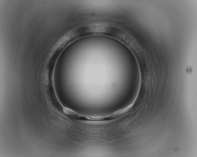 X0000097830731200803141145