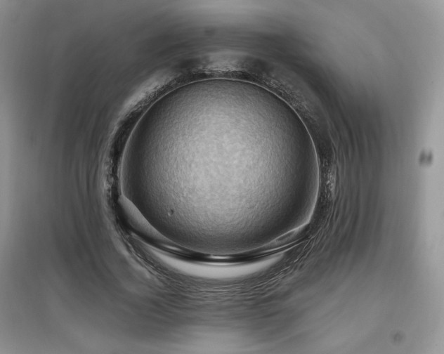 X0000097830732200803141145
